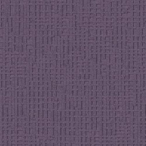 Interface  Monochrome 1458026 - Lilac-Haze