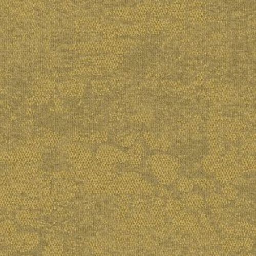 Interface Upon Common Ground - Escarpment 2525013 - Spinifex Grass