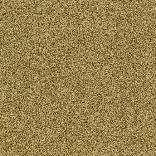 Interface  Touch & Tones 102 4175083 - Gold